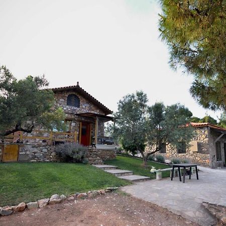 Kladi House Renovated 2023 Villa Nikiti  Exterior photo