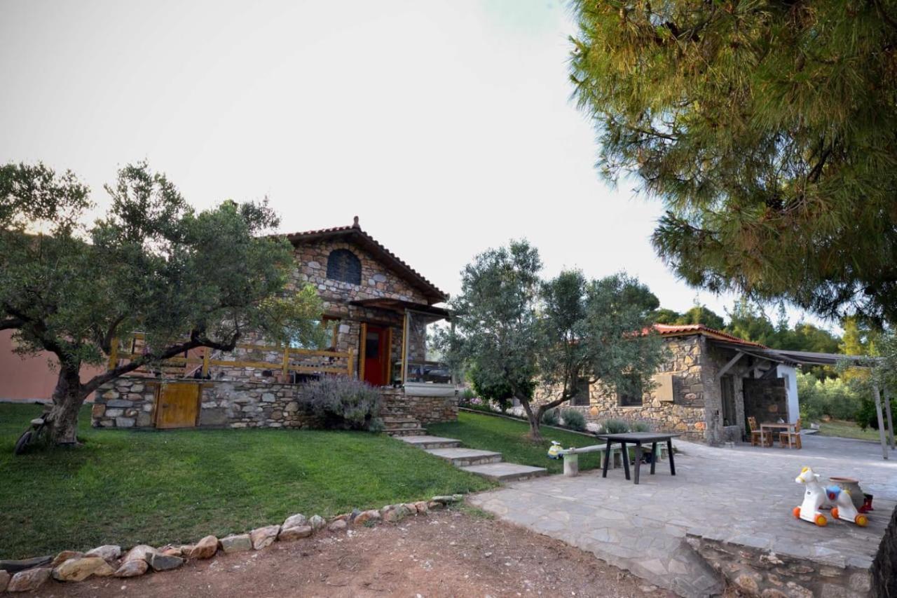 Kladi House Renovated 2023 Villa Nikiti  Exterior photo